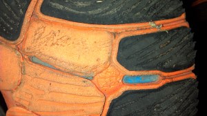 2013-06-20_08-29-04_574